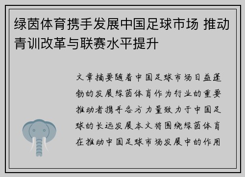 绿茵体育携手发展中国足球市场 推动青训改革与联赛水平提升